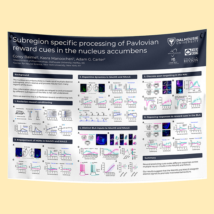 Dalhousie University Research Paper & Fabric Poster - 48x36