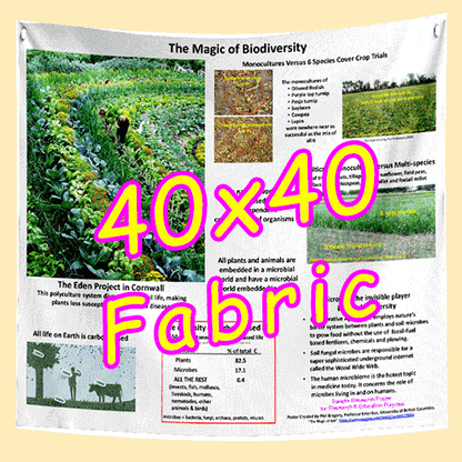 4040 FABRIC Research Poster Sq. (40x40) - Premium Fabric $85 (Van) sv