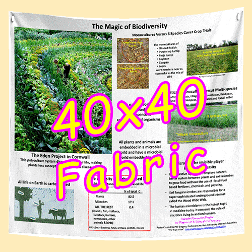 4040 FABRIC Research Poster Sq. (40x40) - Premium Fabric $85 (Van) sv