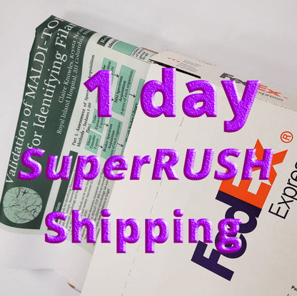 1 Day SuperRUSH Delivery (Air Ship)