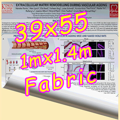 Fabric / Paper Research Poster Printing in Canada 39x55
