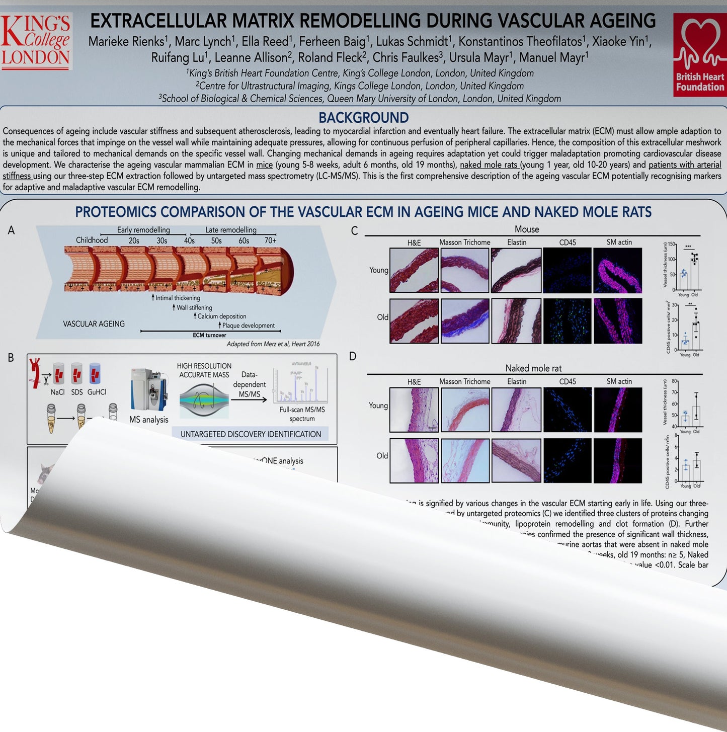 Fabric Research Poster (MEDIUM - B0 39 x 55 in.) (METRIC 1000 x 1400 mm) .