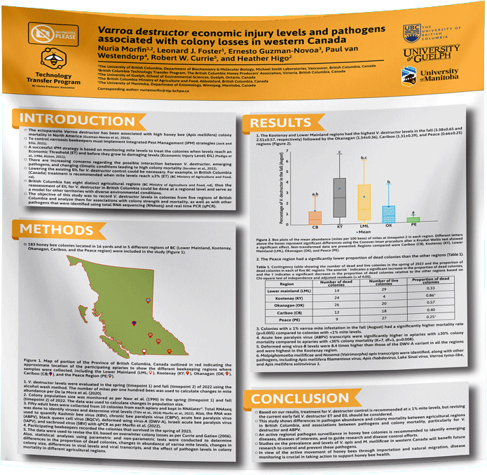 University of Guelph Research Paper & Fabric Poster - 48x60