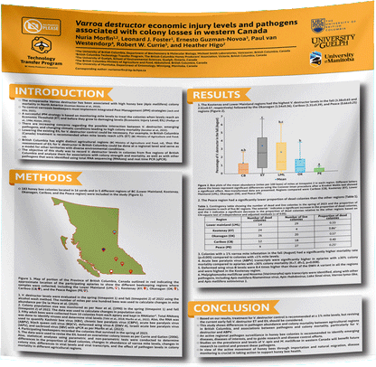 University of Guelph Research Paper & Fabric Poster - 48x60