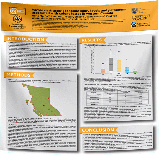 University of Guelph Research Paper & Fabric Poster - 48x60