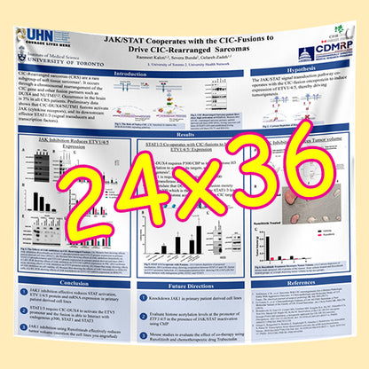 Cheapest Paper / Fabric Research Poster Printing in Toronto 24x36 from $55