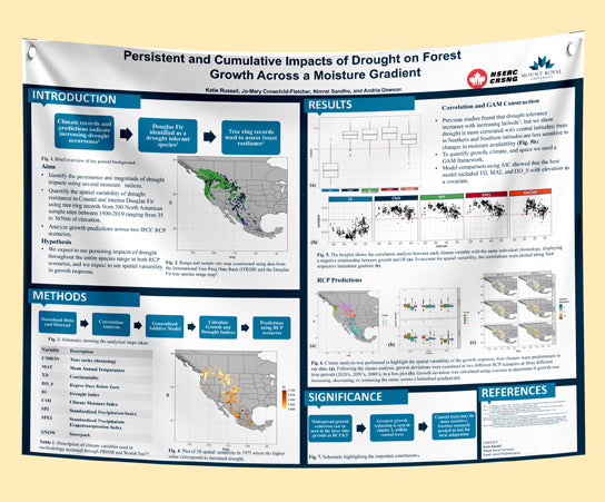 Mount Royal University Research Paper & Fabric Poster - A0 (33x47)