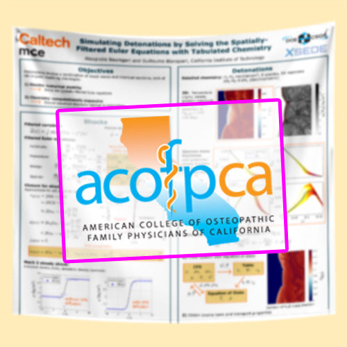 ACOFPCA Poster - US Conference Fabric Poster - (US West Poster - Los Angeles Poster - California Poster)