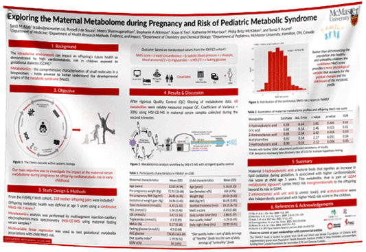 McMaster University Research Paper & Fabric Poster $130 (48x72)