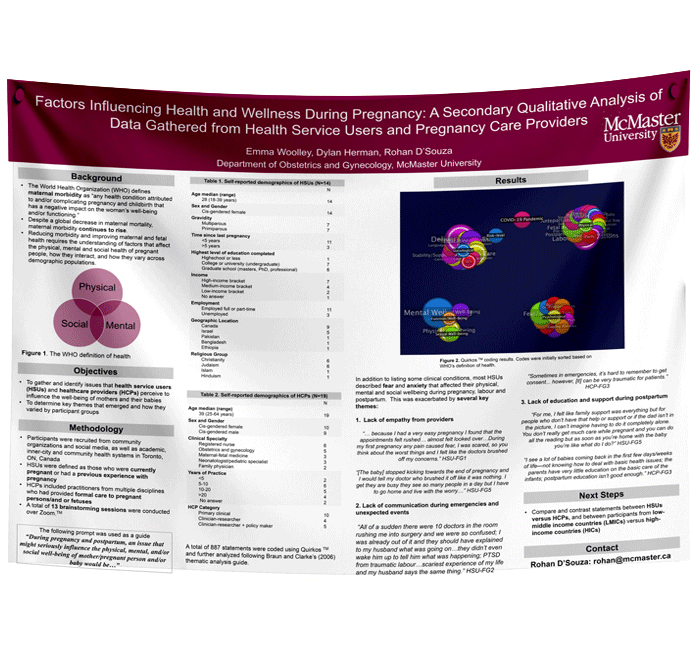 McMaster University Research Paper & Fabric Poster $70 (A0 size 33x47)