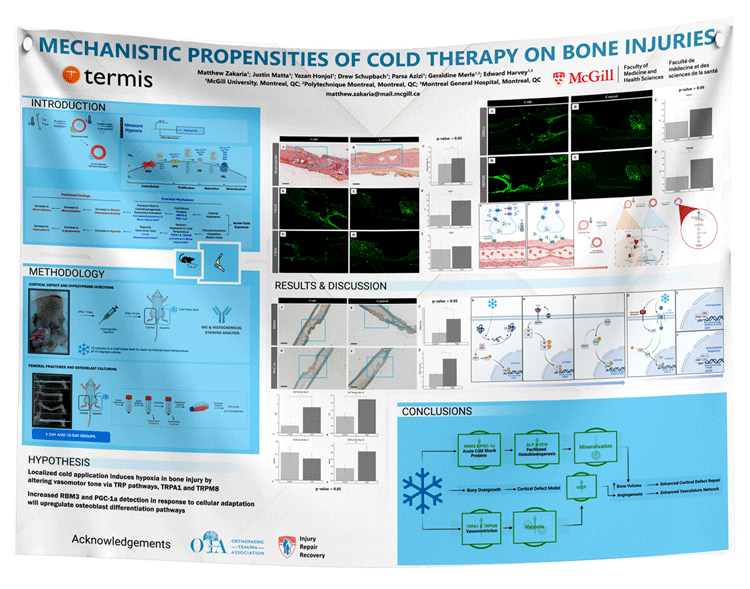 University of Montreal Research Paper & Fabric Poster $170 (48x96)