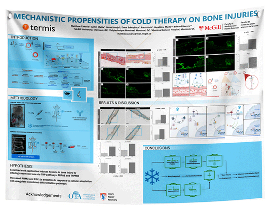 University of Montreal Research Paper & Fabric Poster $170 (48x96)