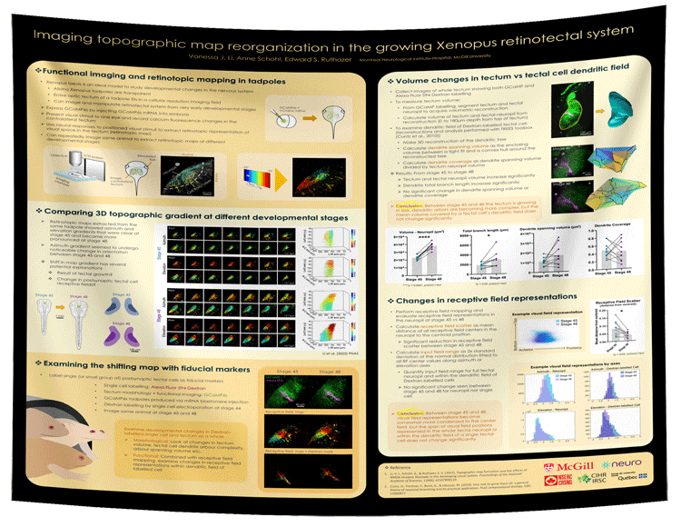 McGill University Research Paper & Fabric Poster - 48x36