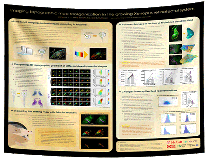 McGill University Research Paper & Fabric Poster - 48x36