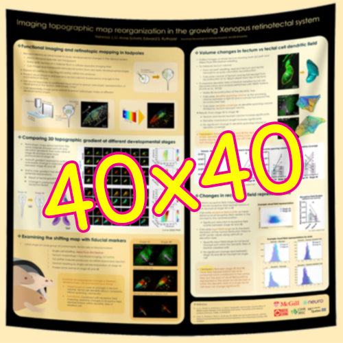 Cheapest Research Poster Printing in Montreal & Canada 40x40