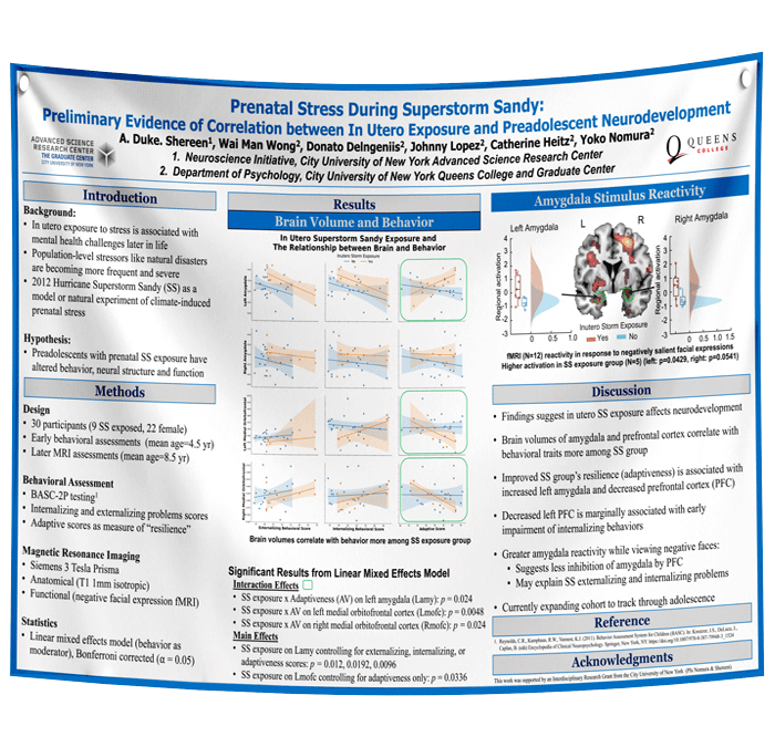 Queen's University Research Paper & Fabric Poster - $130 48x72