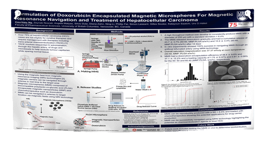 BCCHR 2024 Poster Day Research Poster 48x72 in - Fabric / Paper