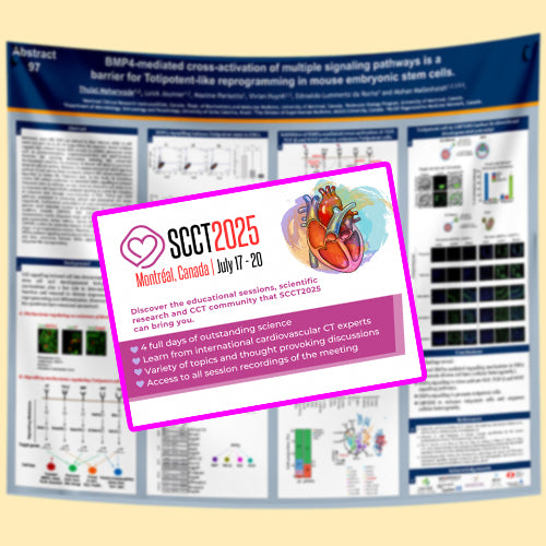 SCCT 2025 Fabric / Paper Research Poster Printing in Montreal (48x48) from $90