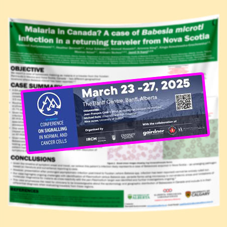 Signalling in Normal and Cancer Banff Calgary Conference Poster Printing