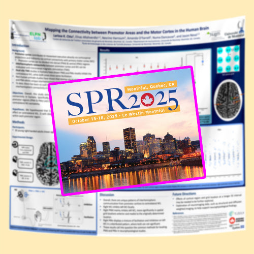 SPR 2025 Montreal Conference Poster A0(33x47) Fabric/Paper - Downtown Pickup