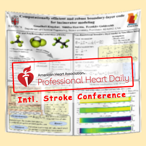 Intl. Stroke Conference - US Conference Poster (48x78 $100 usd Discounted Houston Texas Poster)