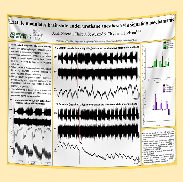 University of Alberta Research Paper & Fabric Poster - A0 (33x47)