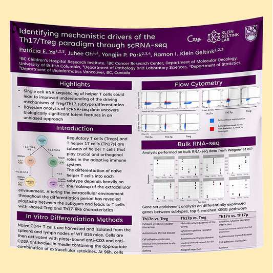 UBC Research Paper & Fabric Poster - $110 (48x60)