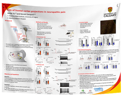 Cheapest Research Poster Printing in Canada