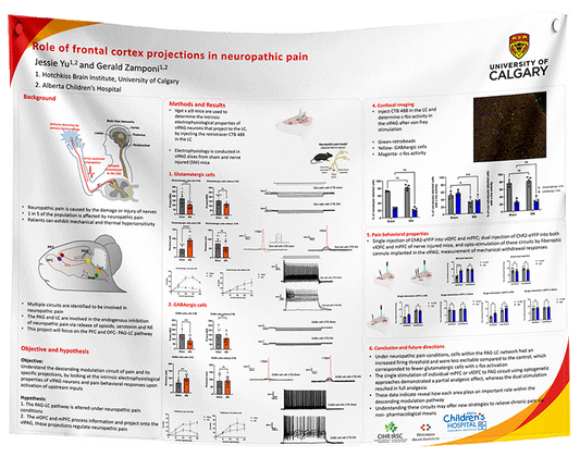 Alberta / Calgary University / AHS Alberta Health Service Fabric Research Poster A0 (33x47 in)