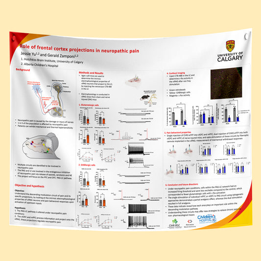 University of Calgary & Edmonton Research Paper & Fabric Poster - A0 (33x47)