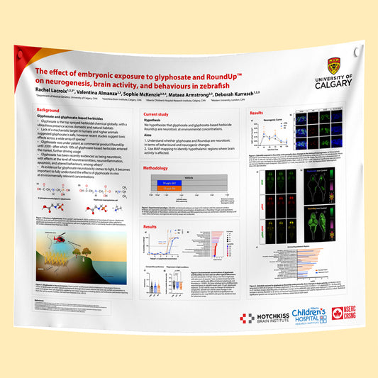 University of Calgary Research Paper & Fabric Poster - 48x60