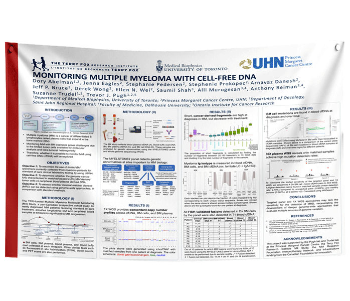 Ontario / Toronto University Fabric Research Poster $130 (48x72 in)