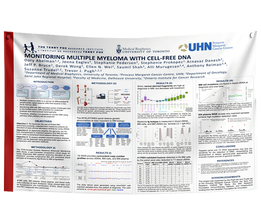 Ontario / Toronto University Fabric Research Poster $130 (48x72 in)