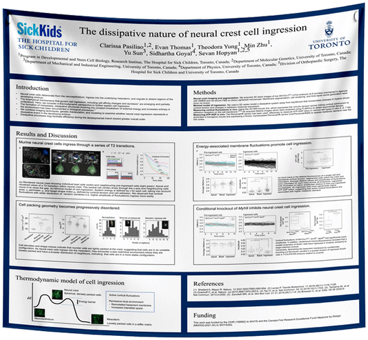 Ontario / Toronto University Fabric Research Poster $110 (48x60)